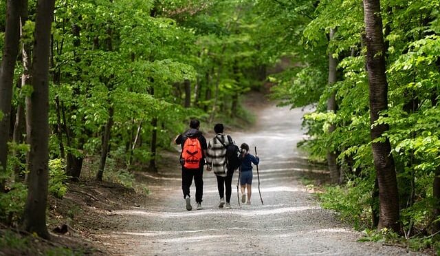 De mooiste georganiseerde wandeltochten in Aalst